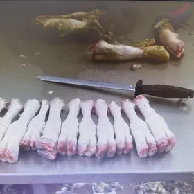 Işçi gerek Murgap etrabyndan