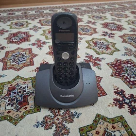 Panasonic