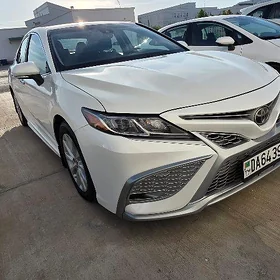Toyota Camry 2019