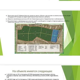 Готовый бизнес, Tayyar biznes