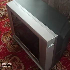 Telewizor