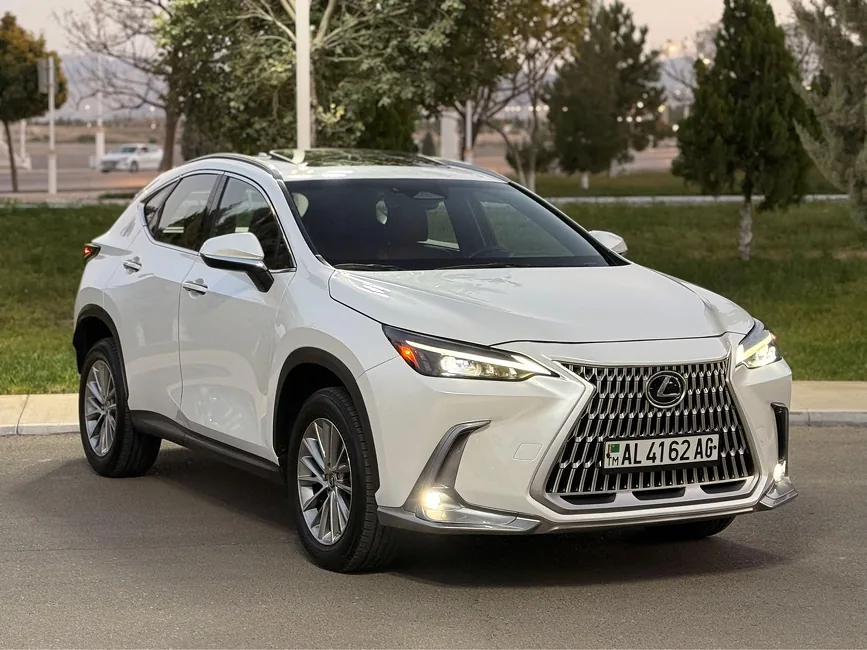 Lexus NX 350 2023 - 1