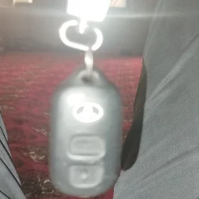 tayota pul tapdym