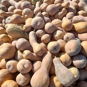 KADI