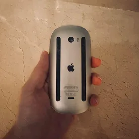 mouse