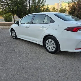 Toyota Corolla 2022