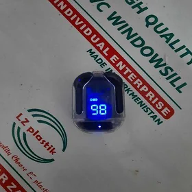 Nausnik