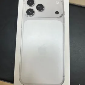 17 Pro max