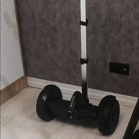 сигвей с ручкой