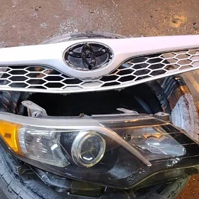 Palta camry fara