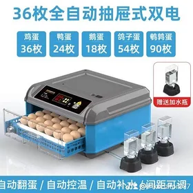 inkubator