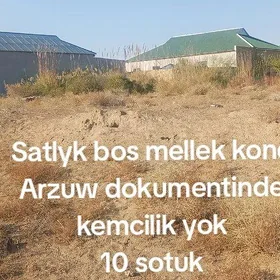 Satlyk bosh mellek