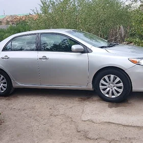 corolla komplekit 16r