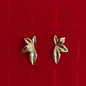 сережки
