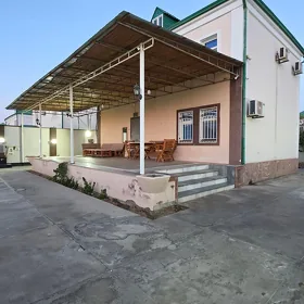 coganly arkac kotej чоганлы