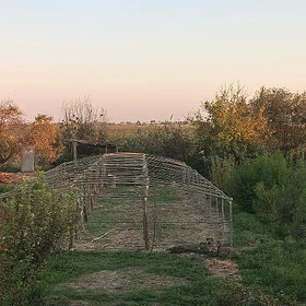 taldan parnyk gurnamak