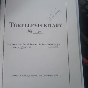 Satlyk jay