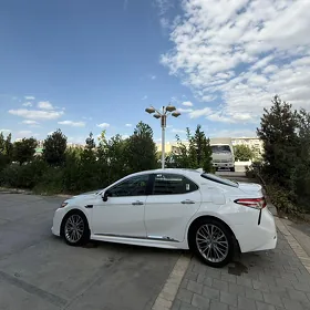 Toyota Camry 2020