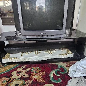 Telewizor