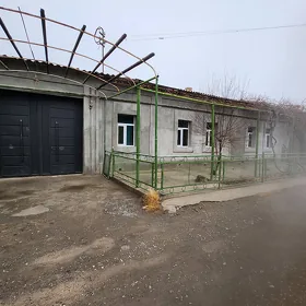 Satlyk Howly Ürgenji pos Zelil