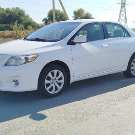 Toyota Corolla 2011