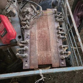 tok kopeltyan