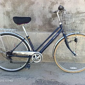 27 velik