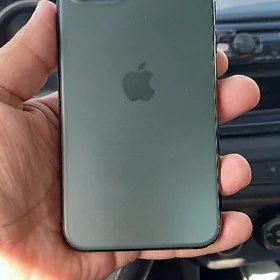 11 pro 256 2 sim