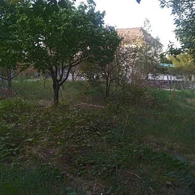 KOSI BAY OBA