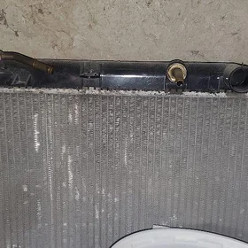 Babycka radiator 3lik morda