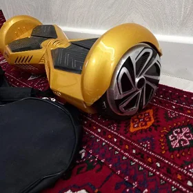 сигвей
