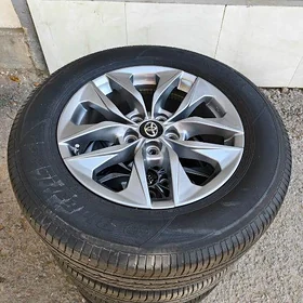 22 Sienna disge pakryşga 18