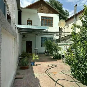 Ak altyn engilis mezlawk