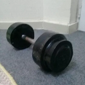 gantel 13 kg
