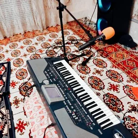 Korg pa800