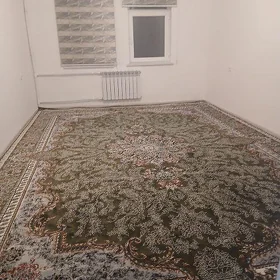 Mary saher Garagum koce