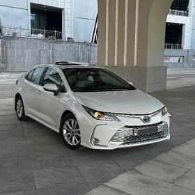 Toyota Corolla 2023