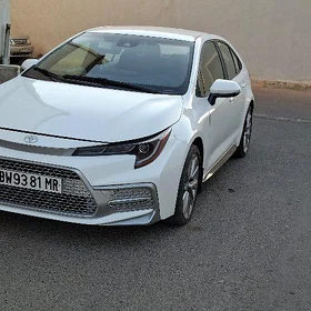 Toyota Corolla 2024