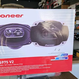 Pioneer 69-75 V2 500w nikel