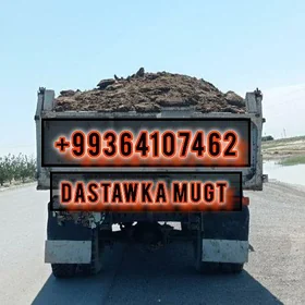 MITI DERS GUM ÇAGE TOPRAK MYTY