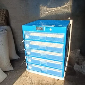 500 yumurtgalyk Inkubator