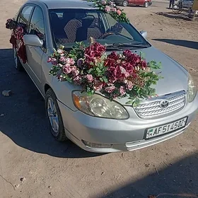 Toyota Corolla 2002