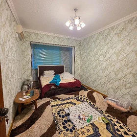 🏕 Satltk jaý 🏡