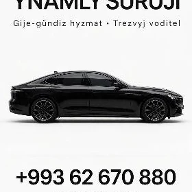 Trezwy waditel