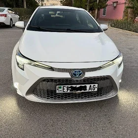 Toyota Corolla 2021