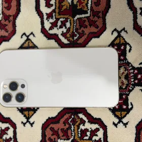 iphone 12 max