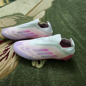 F50 Butsi