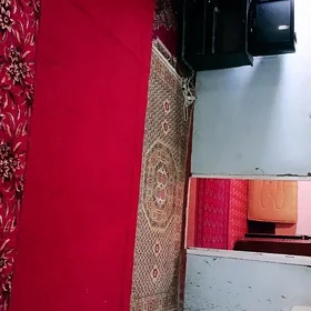Kwartira jaylar