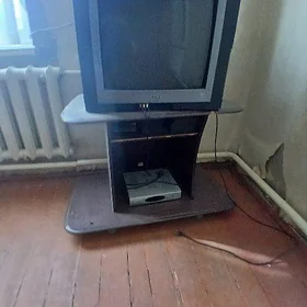 Televizor