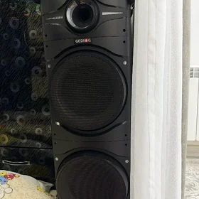 2 sany kolonka mikrafony bilen